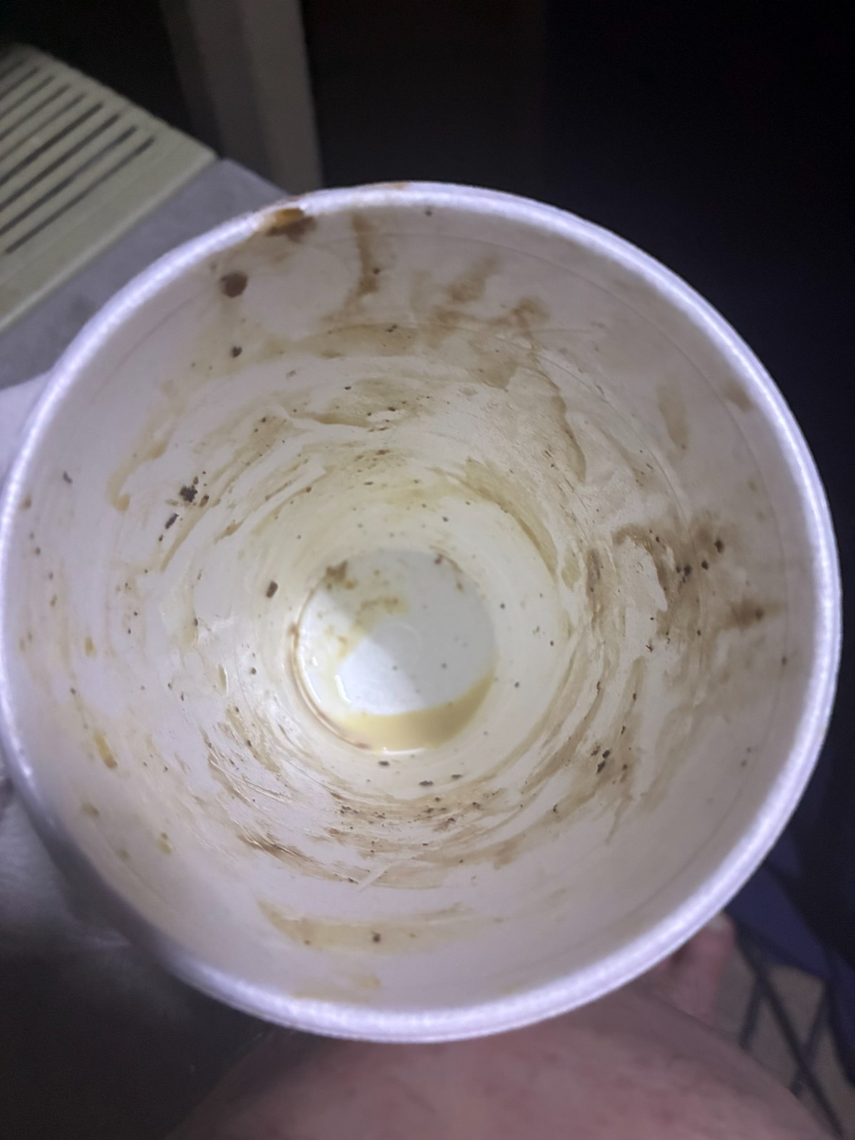 The empty ice cream cup, proof nothing went to waste